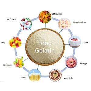 Food Additive Bovine beef Halal Gelatin Food Grade pharma for capsules 150 160-180 bloom